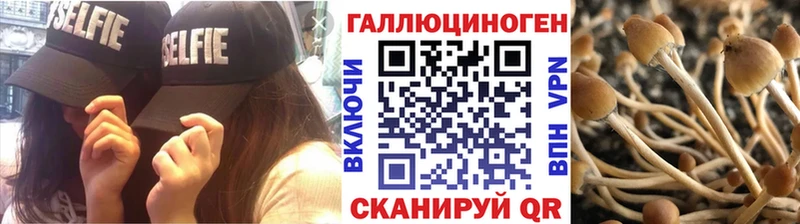 Псилоцибиновые грибы Psilocybine cubensis  Купить где  Алексин 